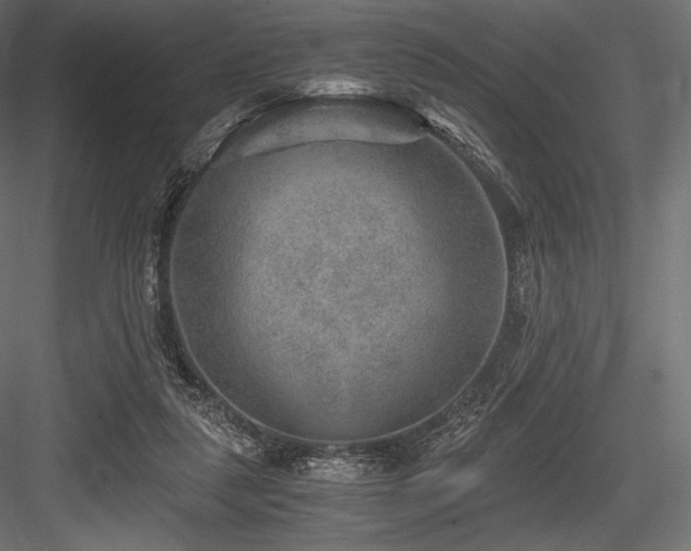 X0000084570259200702231307