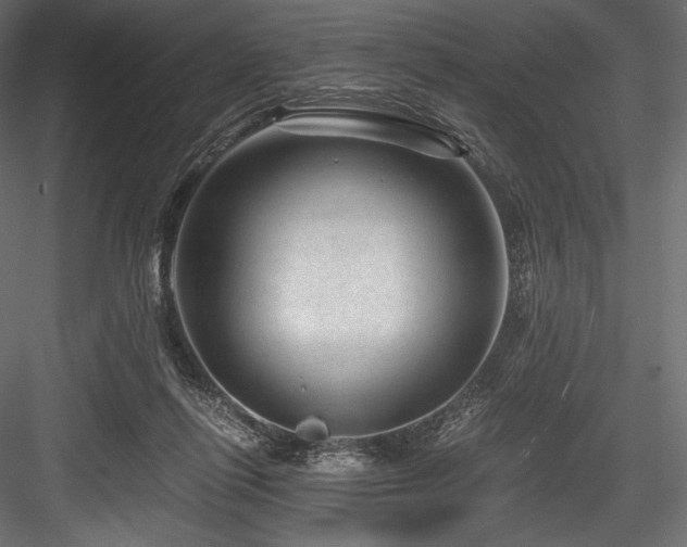 X0000084570262200702231307