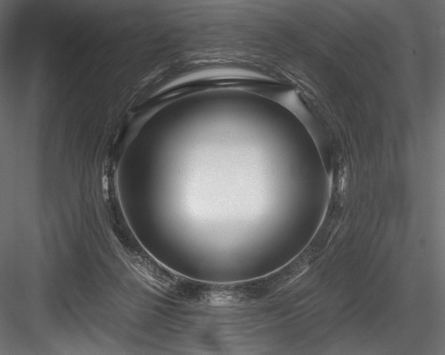 X0000084570264200702231307
