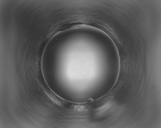 X0000084570265200702231307