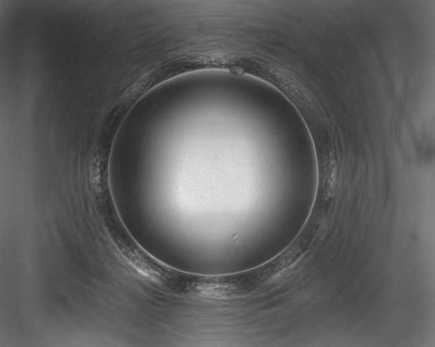 X0000084570268200702231307