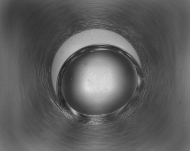 X0000084570280200702231307