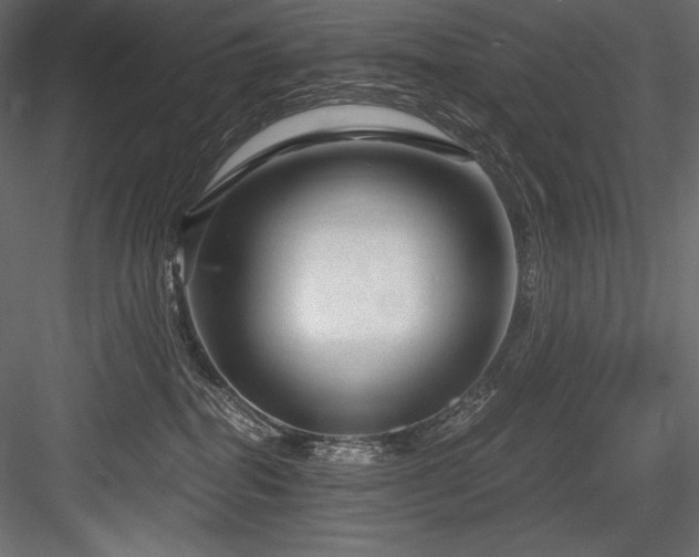 X0000084570282200702231307