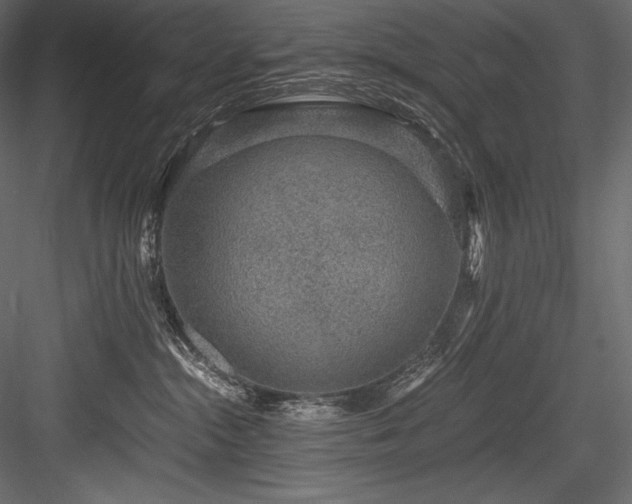 X0000084570284200702231307