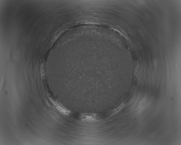 X0000084570285200702231307