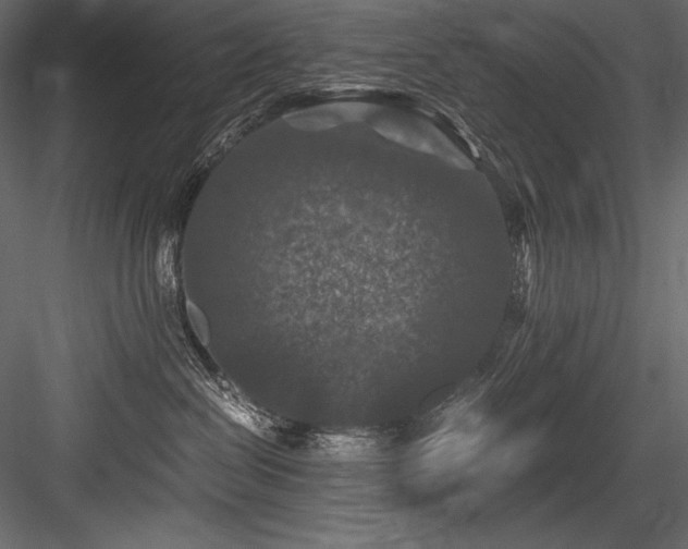 X0000084570286200702231307