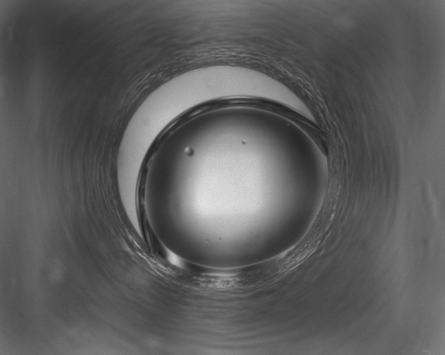 X0000084570288200702231307