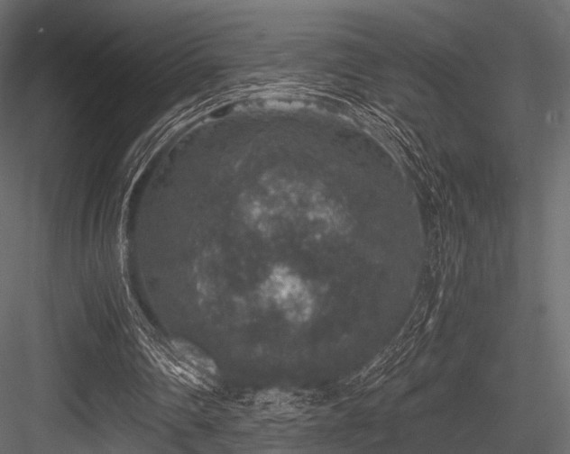 X0000084570290200702231306