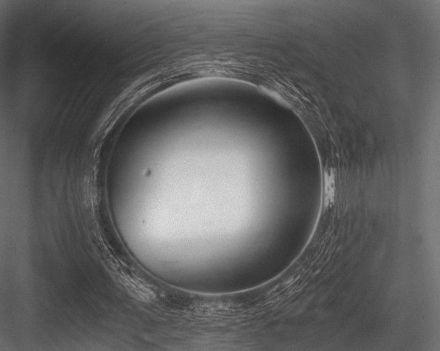X0000084570291200702231306