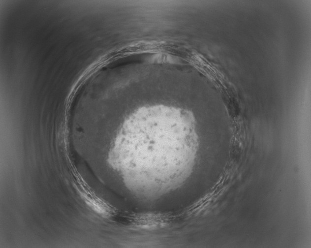 X0000084570293200702231306