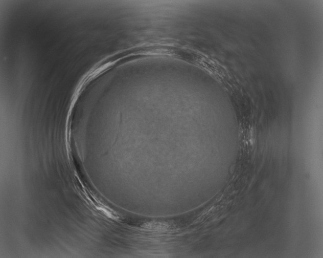 X0000084570294200702231306