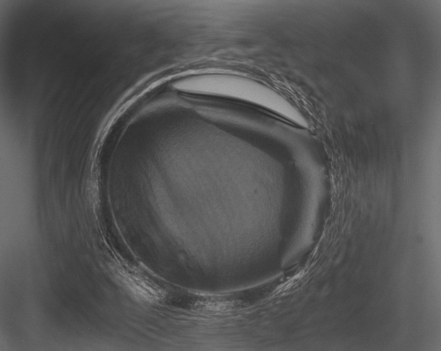 X0000084570295200702231306