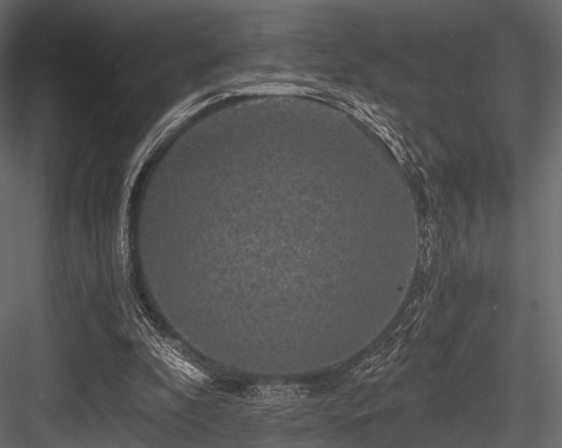 X0000084570296200702231306