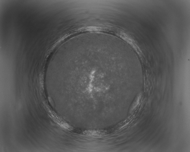 X0000084570297200702231306