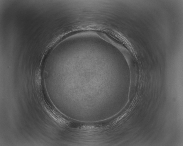X0000084570298200702231306