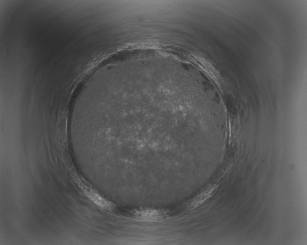 X0000084570301200702231306