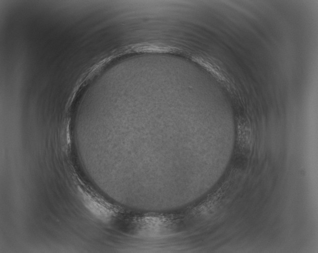 X0000084570302200702231306