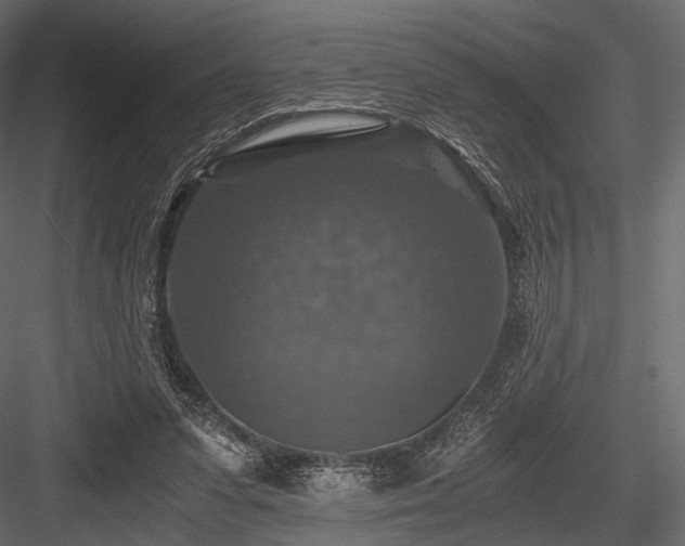X0000084570303200702231306