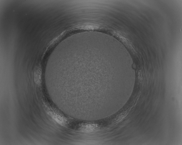 X0000084570304200702231306