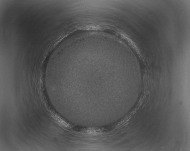X0000084570305200702231306