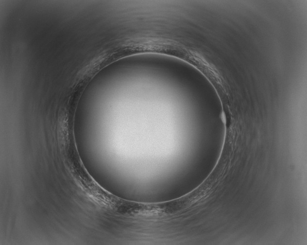 X0000084570306200702231306