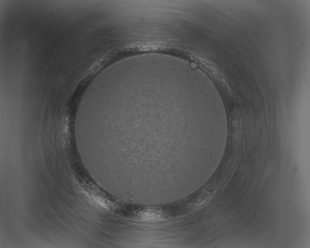 X0000084570308200702231306
