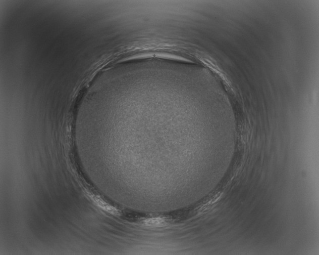 X0000084570309200702231306