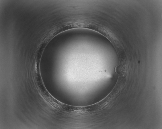 X0000084570310200702231306