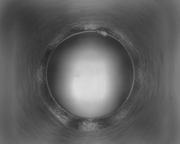 X0000084570311200702231306