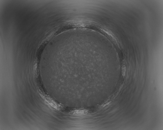 X0000084570314200702231306