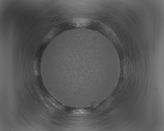 X0000084570316200702231306