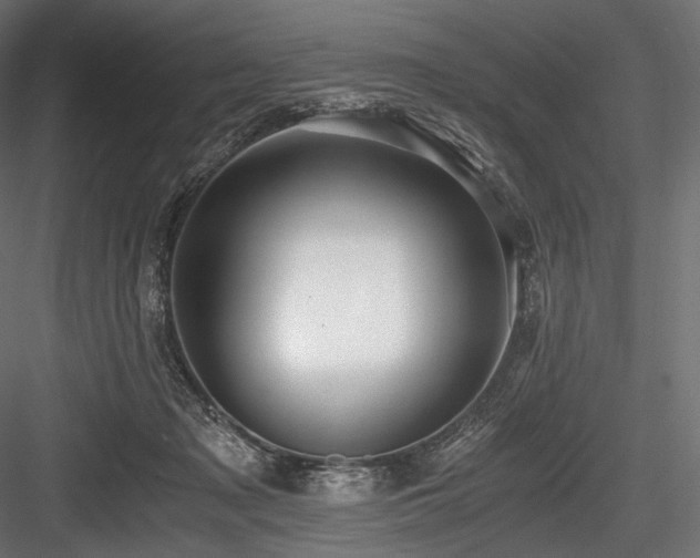 X0000084570317200702231306