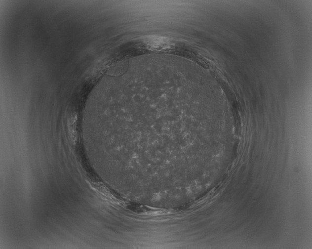 X0000084570319200702231306