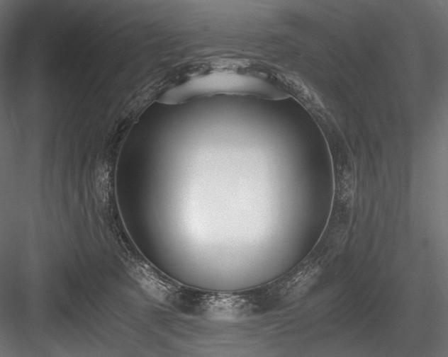 X0000084570321200702231306