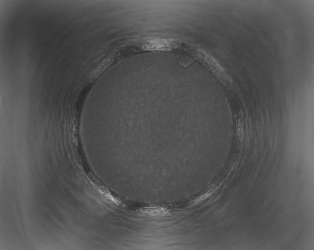 X0000084570322200702231306