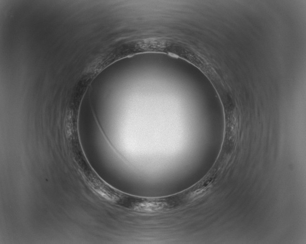 X0000084570323200702231306