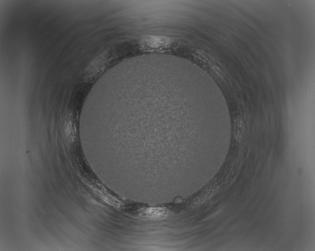X0000084570324200702231306