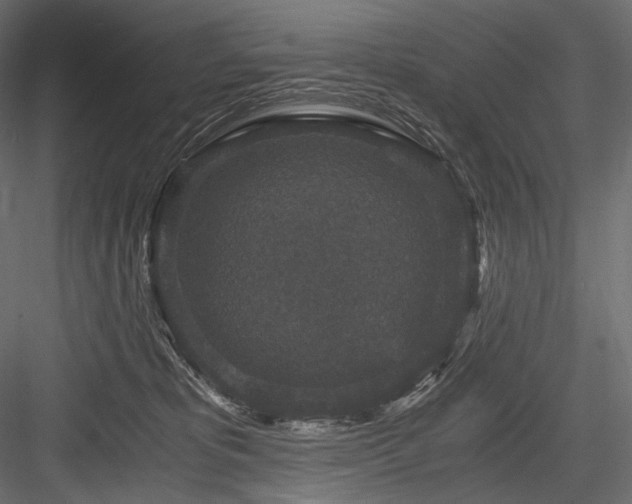 X0000084570325200702231306