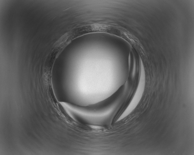 X0000084570329200702231306