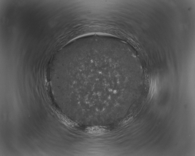 X0000084570331200702231306