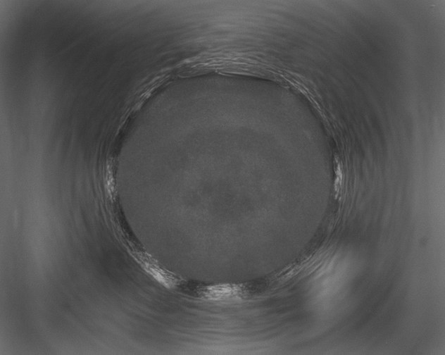 X0000084570335200702231306