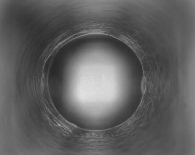 X0000084570338200702231305