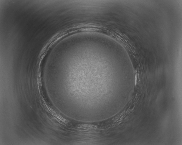 X0000084570339200702231305