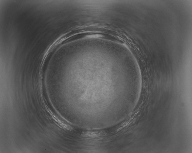X0000084570341200702231305