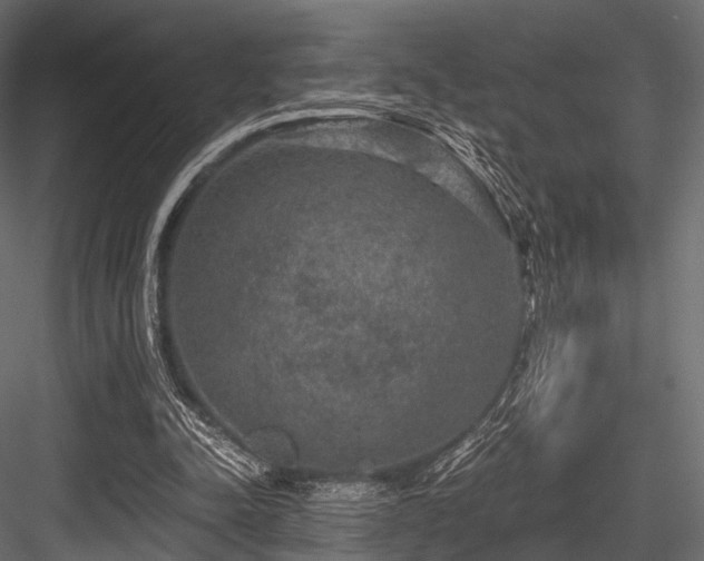 X0000084570342200702231305