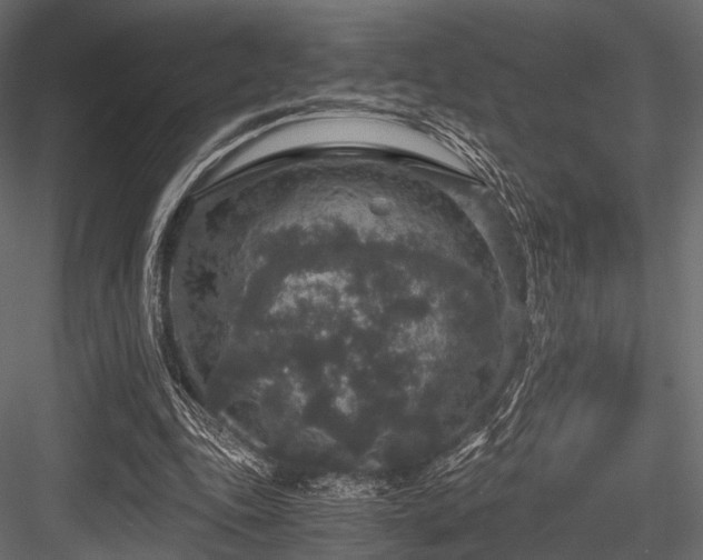 X0000084570343200702231305