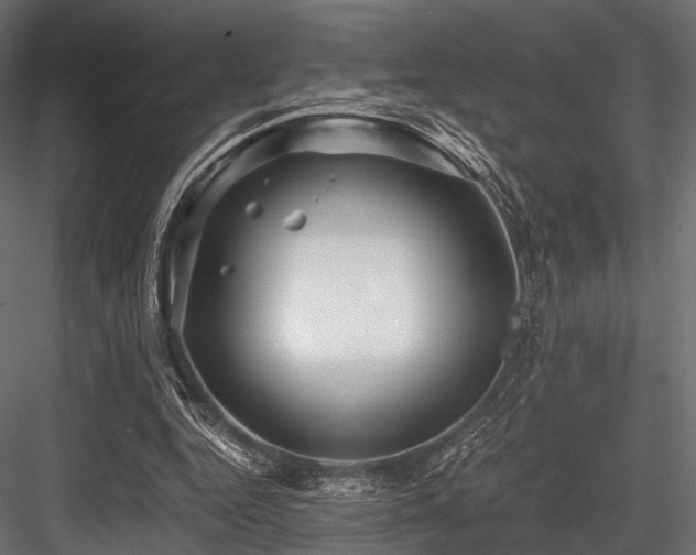 X0000084570344200702231305