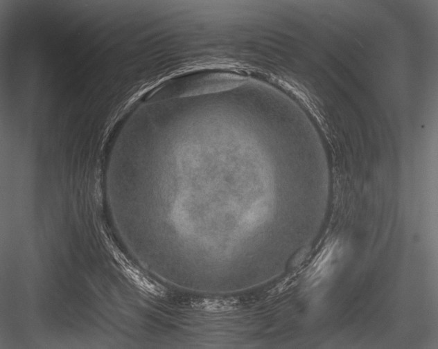X0000084570345200702231305