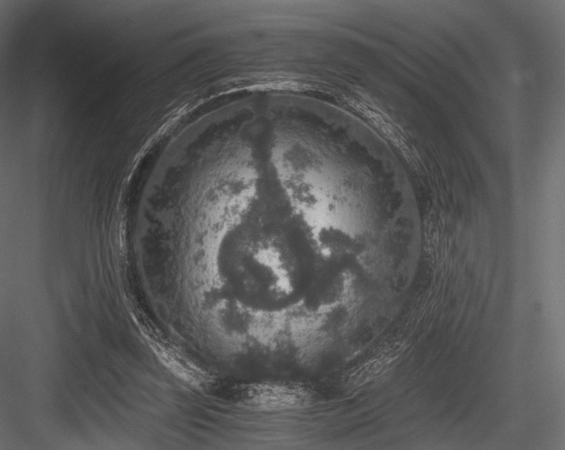 X0000084570347200702231305