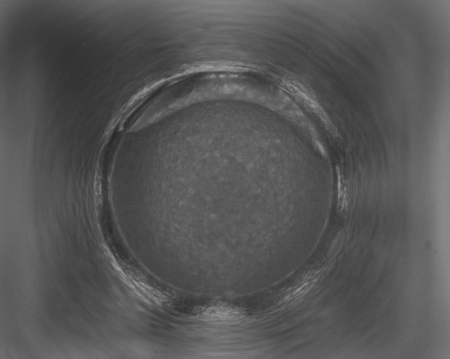 X0000084570348200702231305